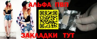 спиды Кингисепп