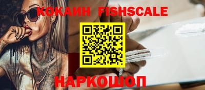 спиды Кингисепп
