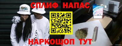 спиды Кингисепп