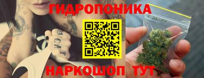 спиды Кимры