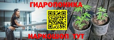 спиды Кингисепп