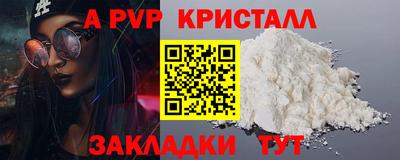 спиды Кингисепп