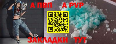 спиды Кингисепп
